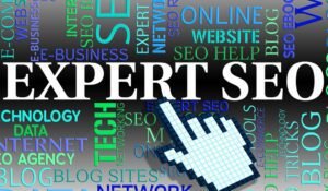 krishnaseo seo expert Delhi