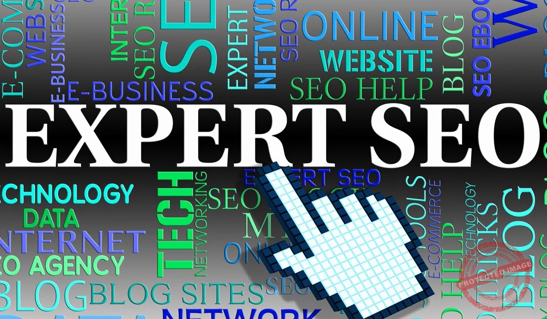 krishnaseo seo expert Delhi
