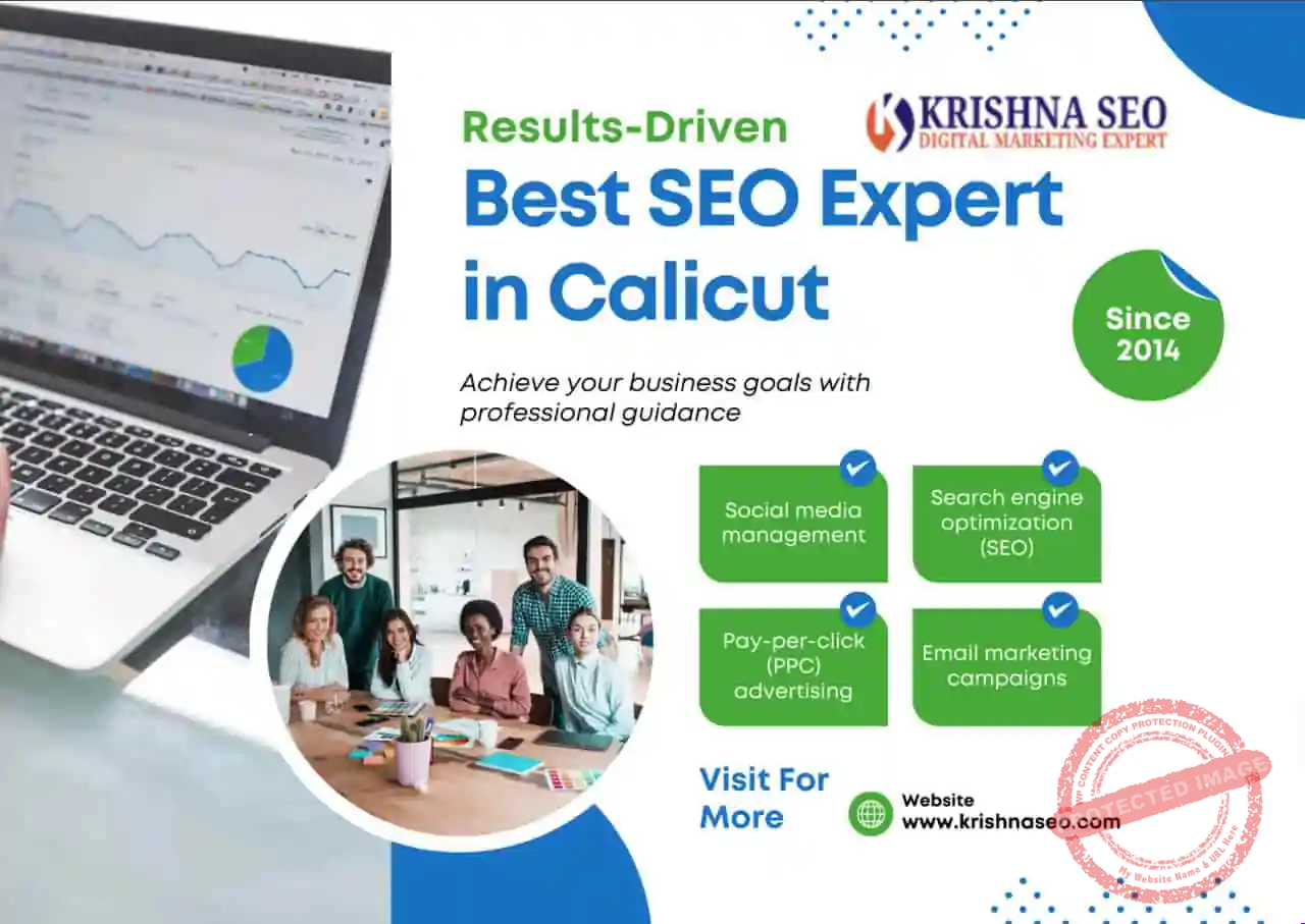 Best SEO Expert in Calicut