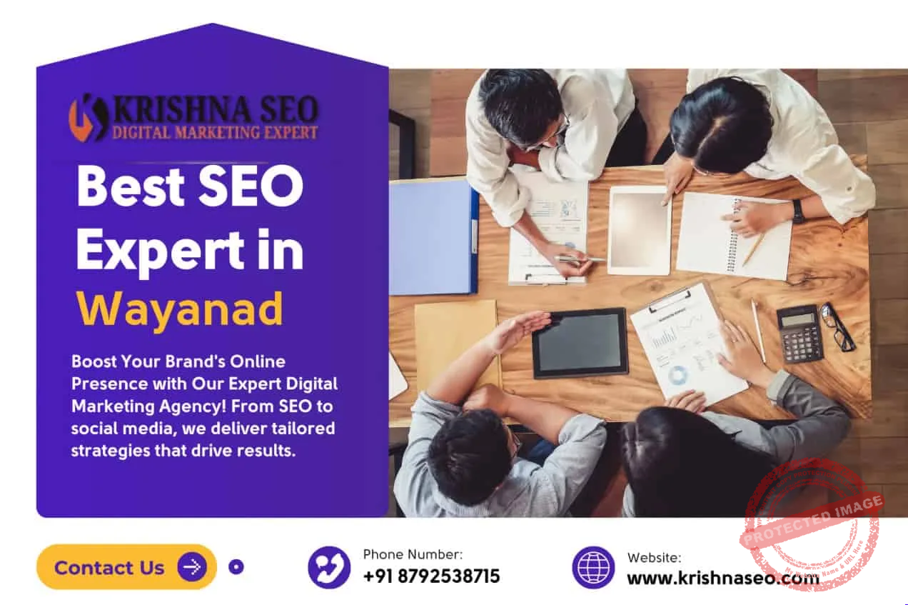 Best SEO Expert in Wayanad