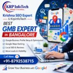Best AI & GEO SEO Expert in Lucknow