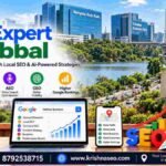 Best SEO Expert in Hebbal