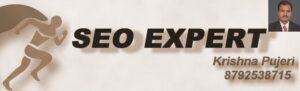 Krishnaseo SEO Expert Bangalore