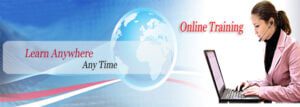 SEO Online Training
