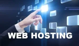 krishnaseo web hosting services