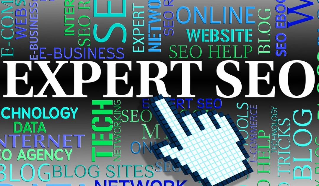 krishnaseo seo expert delhi