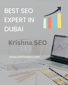 Best SEO Expert in Dubai