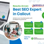 Best SEO Expert in Calicut