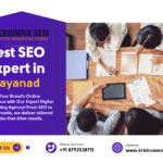 Best SEO Expert in Wayanad